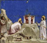 GIOTTO di Bondone Joachim-s Sacrificial Offering Germany oil painting artist